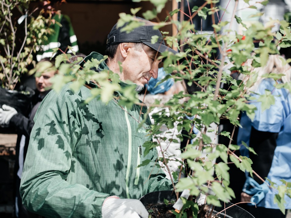 Издание «Деловой квартал» и новосибирское бизнес-сообщество подарили городу зеленую аллею 172 Издание «Деловой квартал» и новосибирское бизнес-сообщество подарили городу зеленую аллею 172