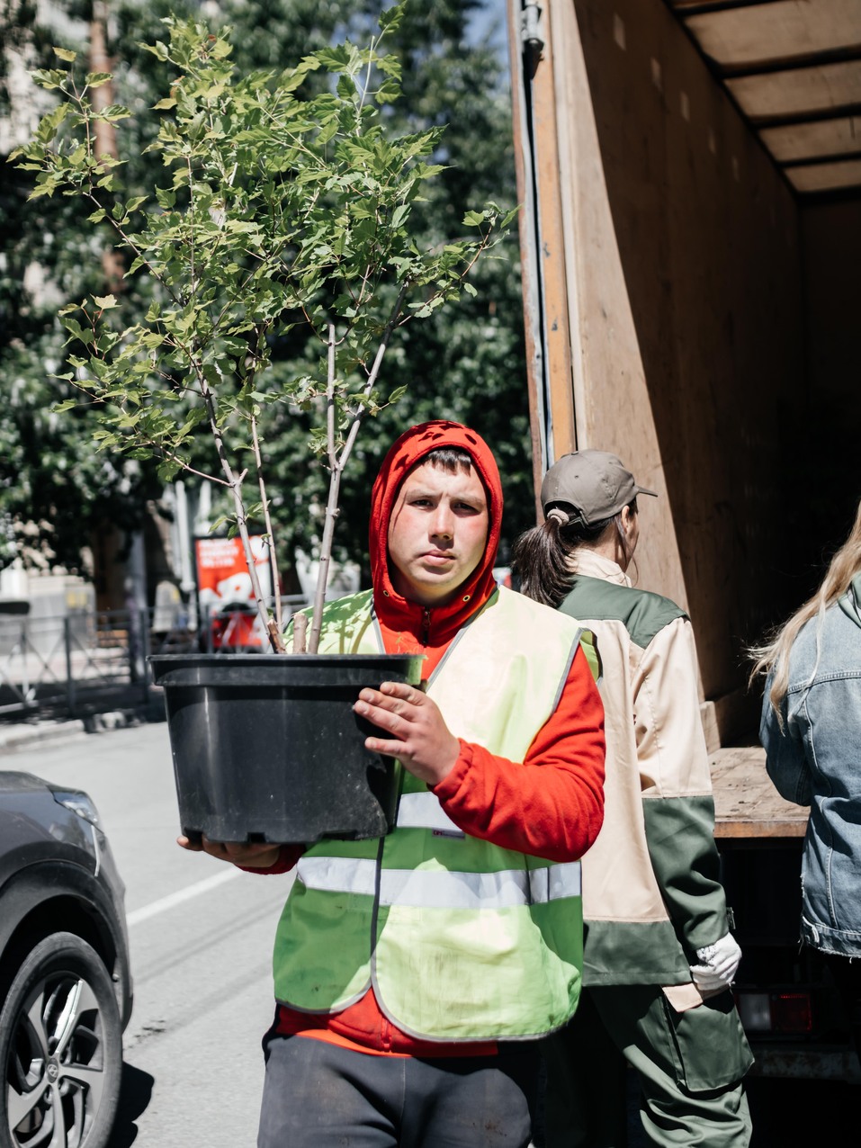 Издание «Деловой квартал» и новосибирское бизнес-сообщество подарили городу зеленую аллею 174 Издание «Деловой квартал» и новосибирское бизнес-сообщество подарили городу зеленую аллею 174