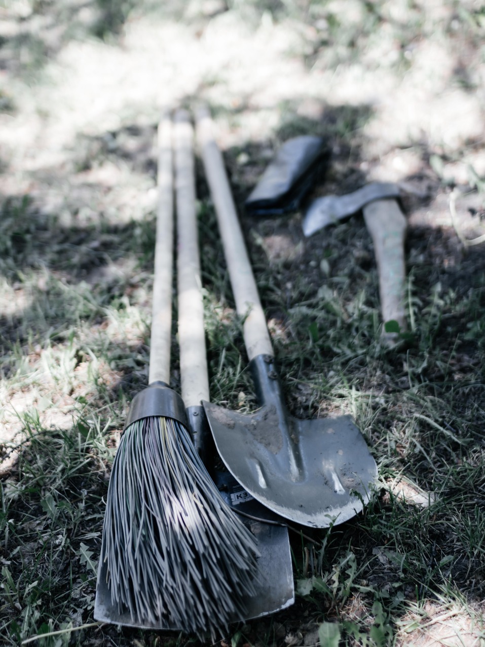 Издание «Деловой квартал» и новосибирское бизнес-сообщество подарили городу зеленую аллею 176 Издание «Деловой квартал» и новосибирское бизнес-сообщество подарили городу зеленую аллею 176