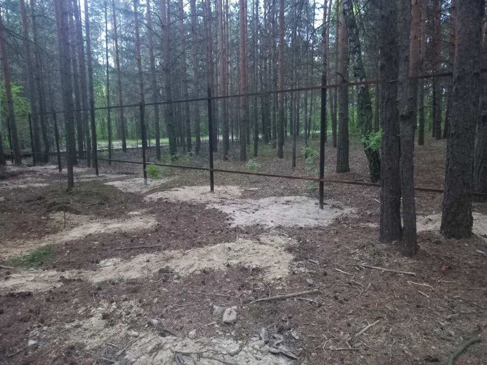 Капитальный забор ставят прямо в лесу Капитальный забор ставят прямо в лесу