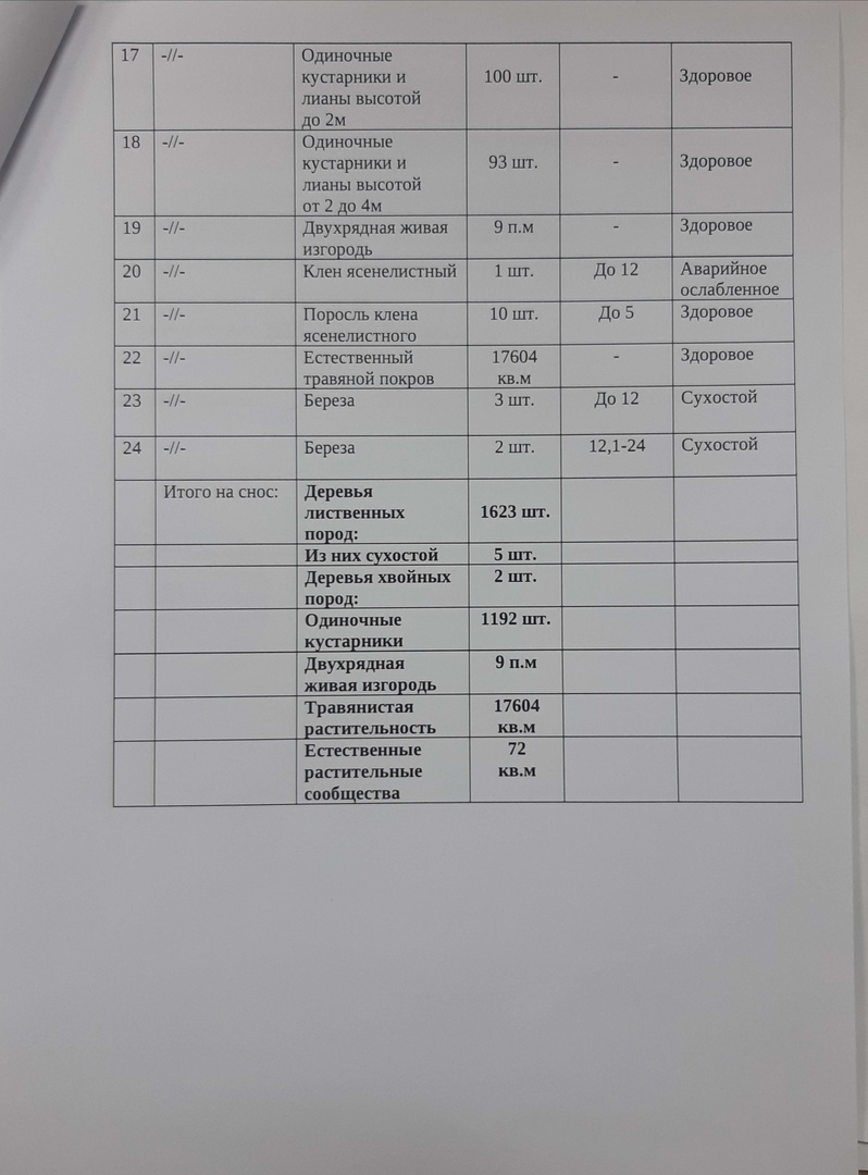 Мэрия Челябинска разрешила вырубить 1618 здоровых деревьев для строительства ледовой арены 2 Мэрия Челябинска разрешила вырубить 1618 здоровых деревьев для строительства ледовой арены 2