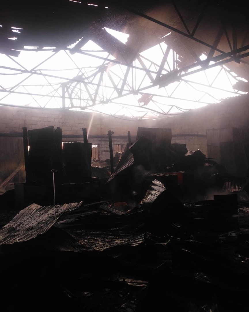 «Вмиг лишились всего». В Екатеринбурге сгорел приют для хаски 1 «Вмиг лишились всего». В Екатеринбурге сгорел приют для хаски 1