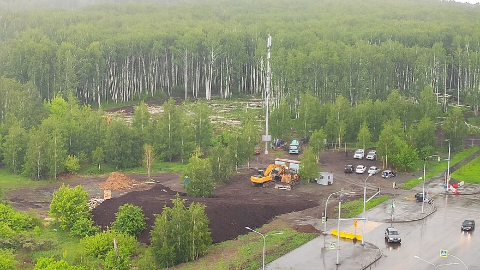 Вырубка леса на Тополинке: челябинцы ставят палатки и пишут Путину 1