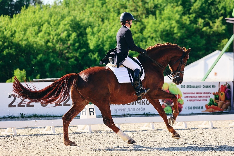 В «Пассаже» завершился Кубок губернатора и командный чемпионат России по выездке 1 В «Пассаже» завершился Кубок губернатора и командный чемпионат России по выездке 1