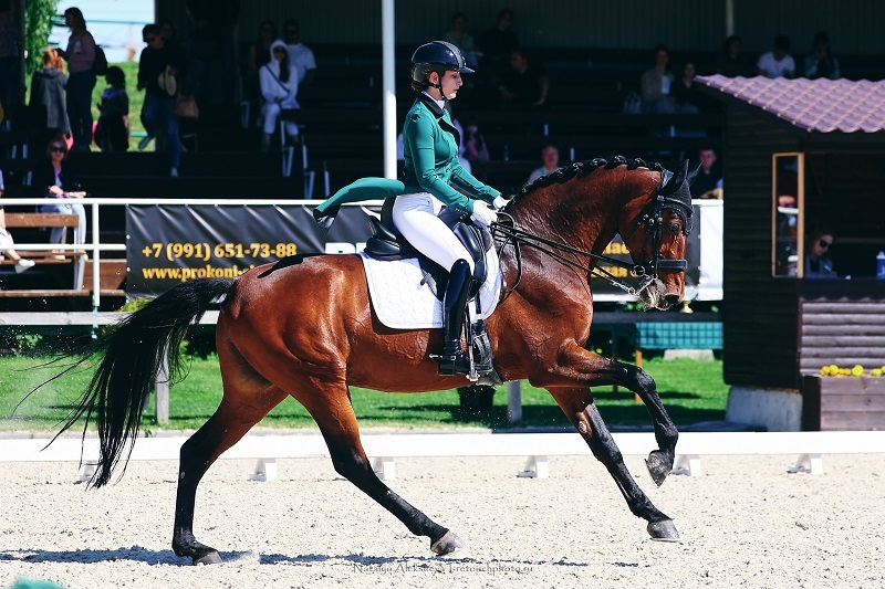 В «Пассаже» завершился Кубок губернатора и командный чемпионат России по выездке 3 В «Пассаже» завершился Кубок губернатора и командный чемпионат России по выездке 3