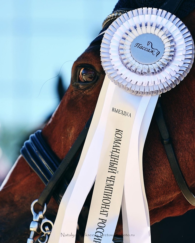 В «Пассаже» завершился Кубок губернатора и командный чемпионат России по выездке 4 В «Пассаже» завершился Кубок губернатора и командный чемпионат России по выездке 4