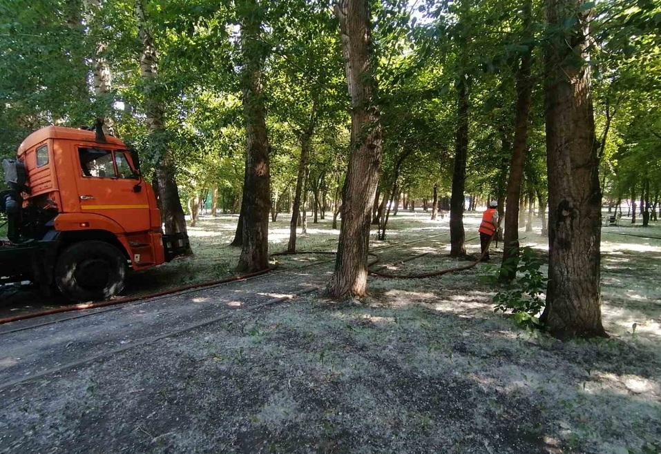 Пух поливают водой Пух поливают водой