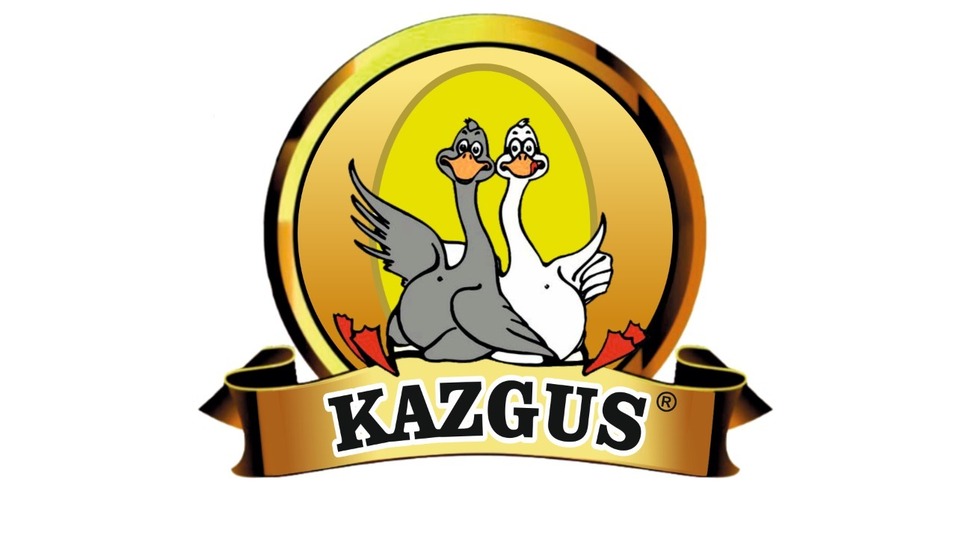 Акселерация экспорта казахстанских товаров в Россию 2 Акселерация экспорта казахстанских товаров в Россию 2