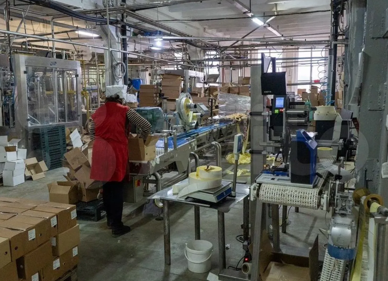 В Челябинской области за 280 млн рублей продают молокозавод 2