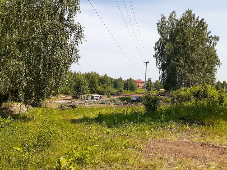 Возле элитного челябинского поселка массово рубят деревья. ФОТО 4 Возле элитного челябинского поселка массово рубят деревья. ФОТО 4