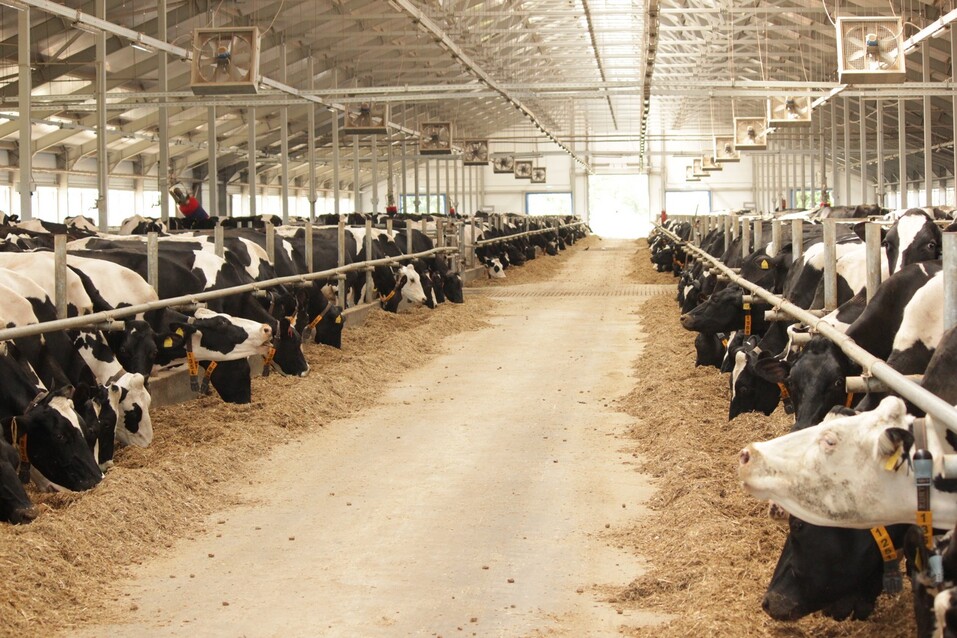 Фото: правительство Нижегородской области Фото: правительство Нижегородской области