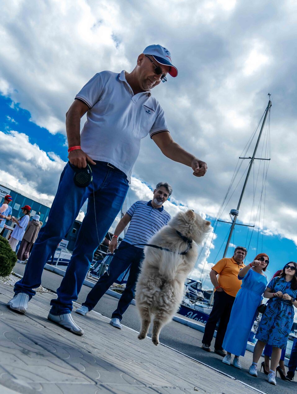 «Деловой квартал» провел бизнес-пикник Family Day. Фото 102 «Деловой квартал» провел бизнес-пикник Family Day. Фото 102