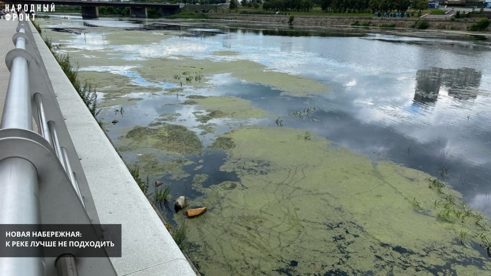 Колотая плитка, грязная река и граффити: ОНФ указал Котовой на разруху в центре Челябинска 7 Колотая плитка, грязная река и граффити: ОНФ указал Котовой на разруху в центре Челябинска 7