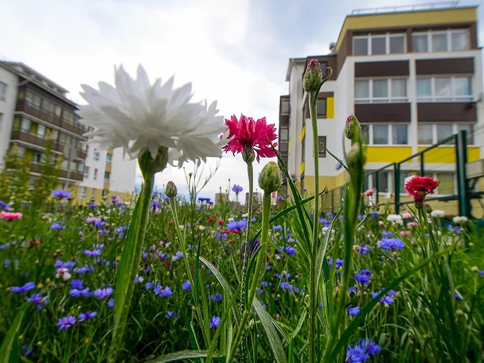 Пробок нет, чистый воздух есть, и работа рядом с домом. Такое возможно? 6 Пробок нет, чистый воздух есть, и работа рядом с домом. Такое возможно? 6