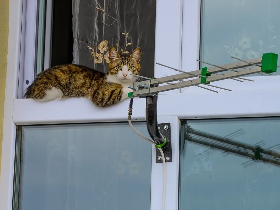 Пробок нет, чистый воздух есть, и работа рядом с домом. Такое возможно? 7 Пробок нет, чистый воздух есть, и работа рядом с домом. Такое возможно? 7