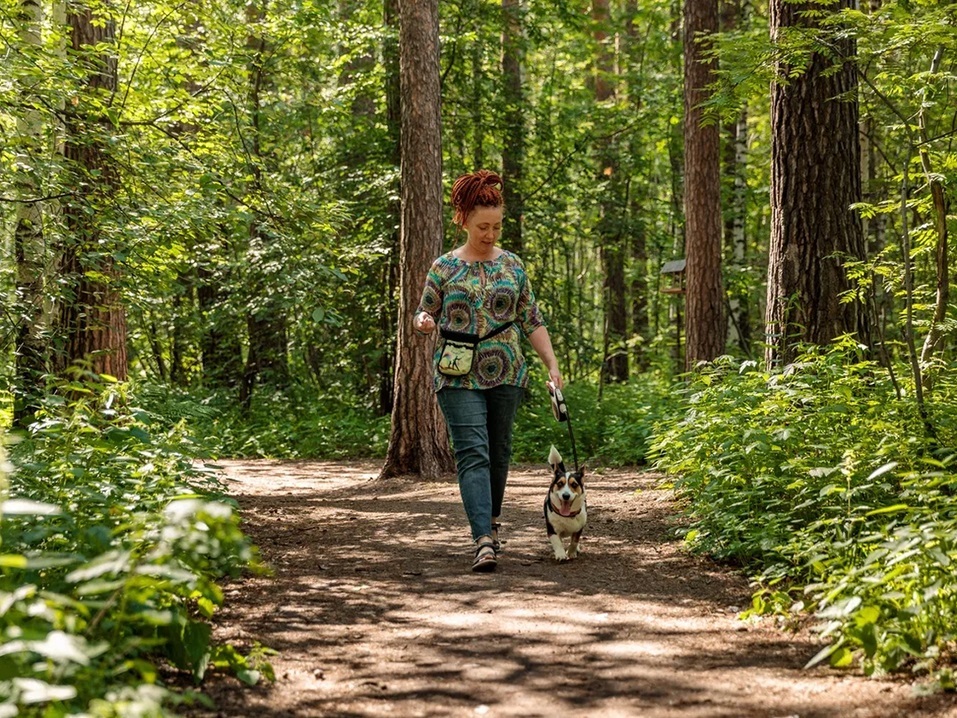 Пробок нет, чистый воздух есть, и работа рядом с домом. Такое возможно? 5 Пробок нет, чистый воздух есть, и работа рядом с домом. Такое возможно? 5