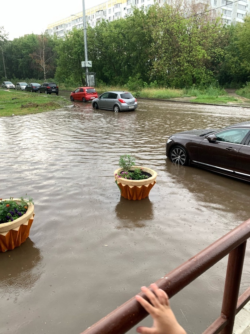 Фото: соцсети Фото: соцсети