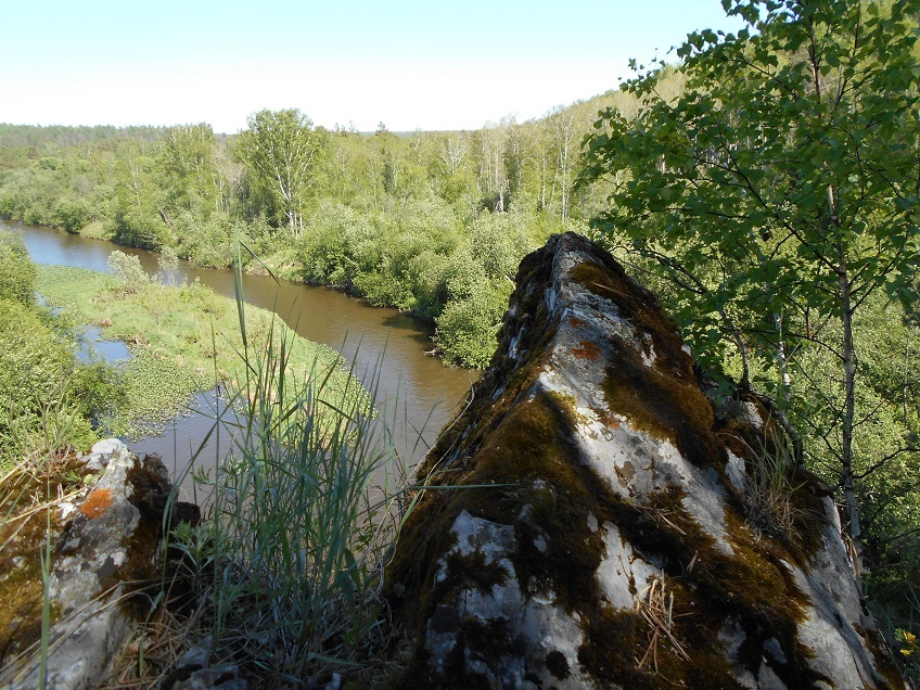 В Челябинской области продают VIP-охотхозяйство. Фото 5 В Челябинской области продают VIP-охотхозяйство. Фото 5