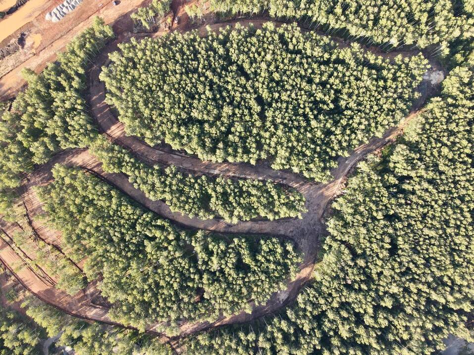 Мэр Челябинска показала, какой будет лыжная трасса на Карповом пруду 1 Мэр Челябинска показала, какой будет лыжная трасса на Карповом пруду 1