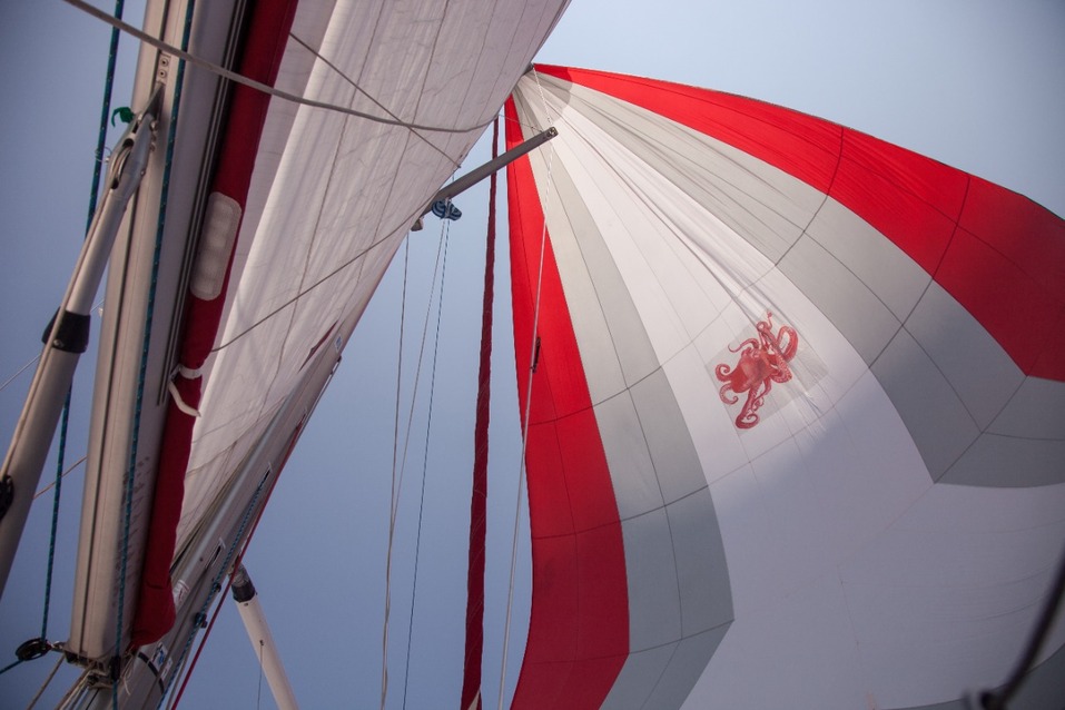 Светлана Кульмурзина: «Яхтинг — это про свободу, про воплощение мечты идти под парусом» 3 Светлана Кульмурзина: «Яхтинг — это про свободу, про воплощение мечты идти под парусом» 3