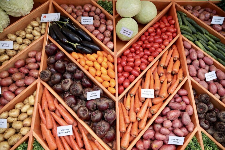 Осетры, хамон и мёд: Алексей Текслер открыл крупнейшую агровыставку в Челябинске. Фото 1 Осетры, хамон и мёд: Алексей Текслер открыл крупнейшую агровыставку в Челябинске. Фото 1