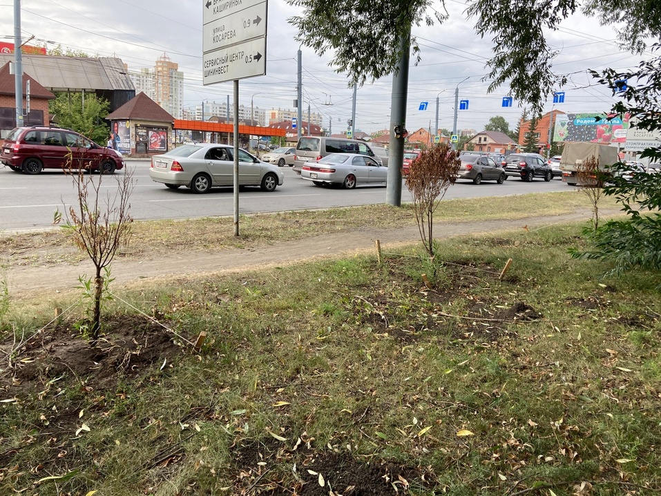В Челябинске назвали нерадивых озеленителей 1 В Челябинске назвали нерадивых озеленителей 1