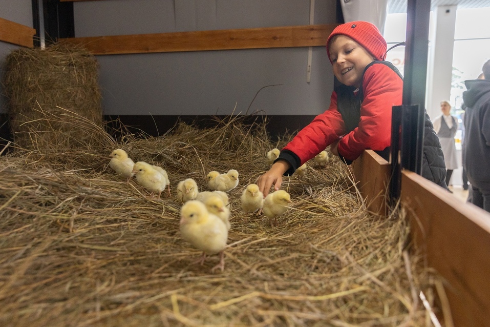 Взгляд на Восток: в Екатеринбурге презентовали обновленный дилерский центр JAC MOTORS 1 Взгляд на Восток: в Екатеринбурге презентовали обновленный дилерский центр JAC MOTORS 1
