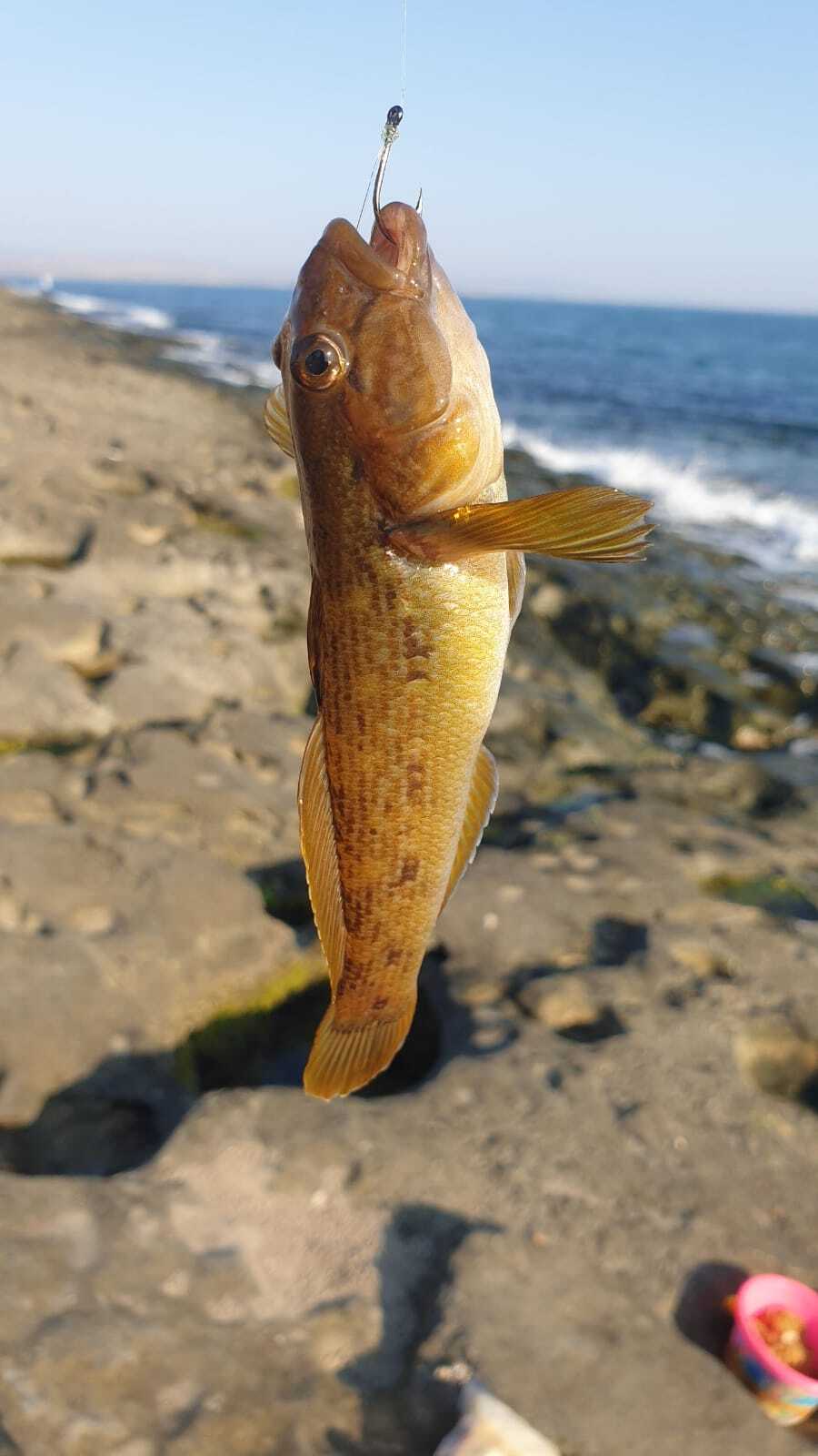 Как я провел отпуск в России. С Урала на Каспий — опыт Андрея Ермоленко 12 Как я провел отпуск в России. С Урала на Каспий — опыт Андрея Ермоленко 12