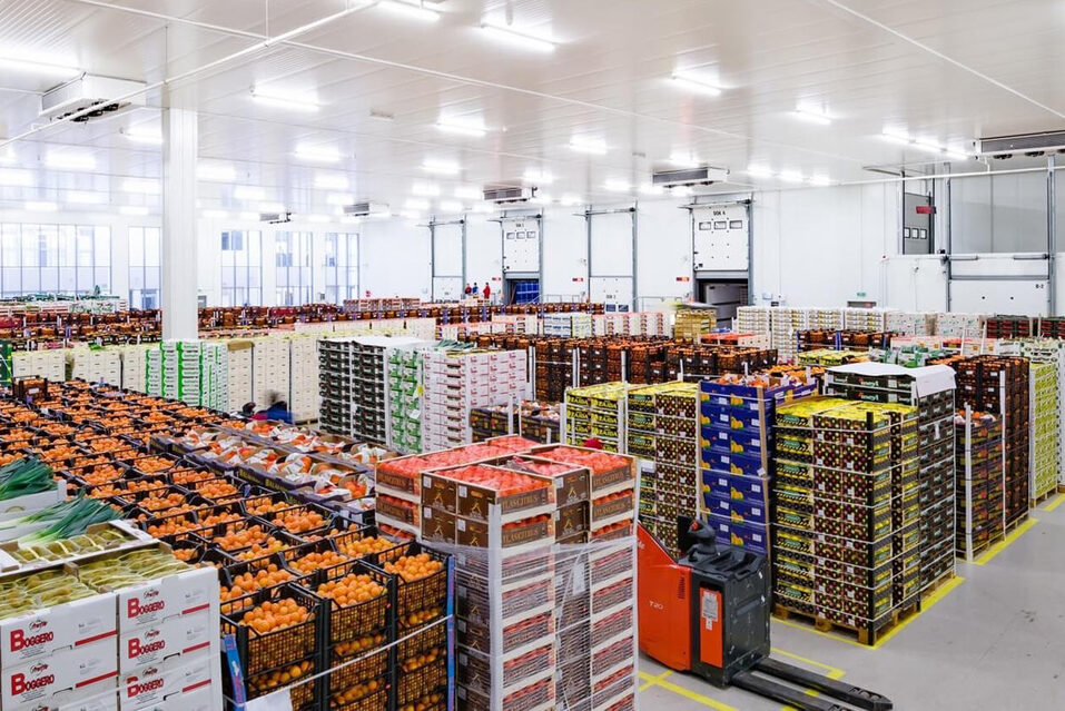 Крупнейшие инвестпроекты Нижегородской области 2022-2025. На что направят более 20 млрд? 9 Крупнейшие инвестпроекты Нижегородской области 2022-2025. На что направят более 20 млрд? 9