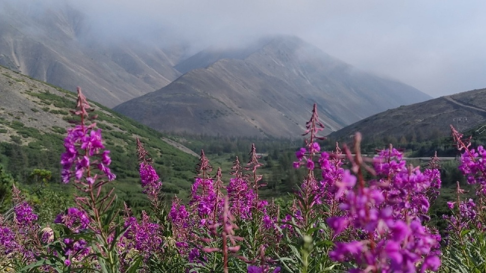 Как я провел лето в России. Маршрут Урал — Магадан. Опыт Вячеслава Пестрикова
3 Как я провел лето в России. Маршрут Урал — Магадан. Опыт Вячеслава Пестрикова
3