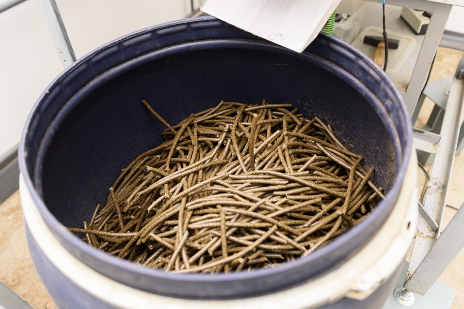 «Сгущенка из конопли — такого еще не было», — Дмитрий Ильков, совладелец компании «Медал» 8 «Сгущенка из конопли — такого еще не было», — Дмитрий Ильков, совладелец компании «Медал» 8