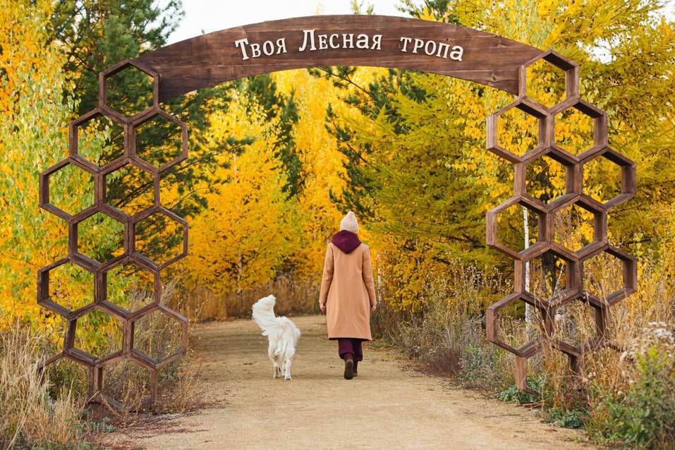 «Флай Плэнинг» — новые сценарии жизни 3 «Флай Плэнинг» — новые сценарии жизни 3