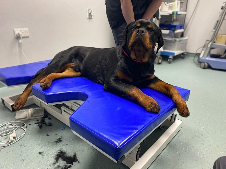 «У каждого есть возможность выйти на глобальные рынки. Потому что русских в мире уважают» 1 «У каждого есть возможность выйти на глобальные рынки. Потому что русских в мире уважают» 1