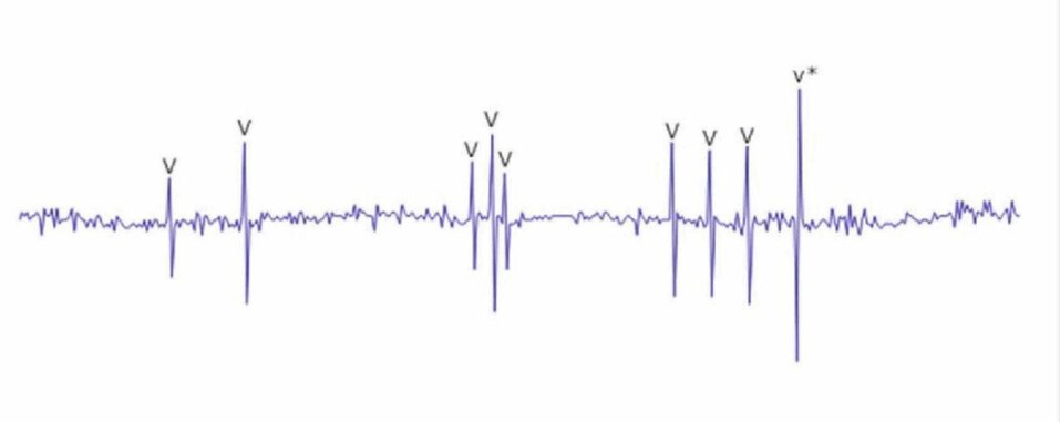 Фото: ННГУ им. Лобачевского Фото: ННГУ им. Лобачевского