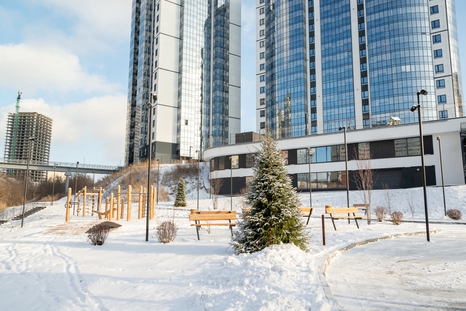 Закончилось строительство первой очереди Ельцовского парка — как он выглядит сейчас  3 Закончилось строительство первой очереди Ельцовского парка — как он выглядит сейчас  3