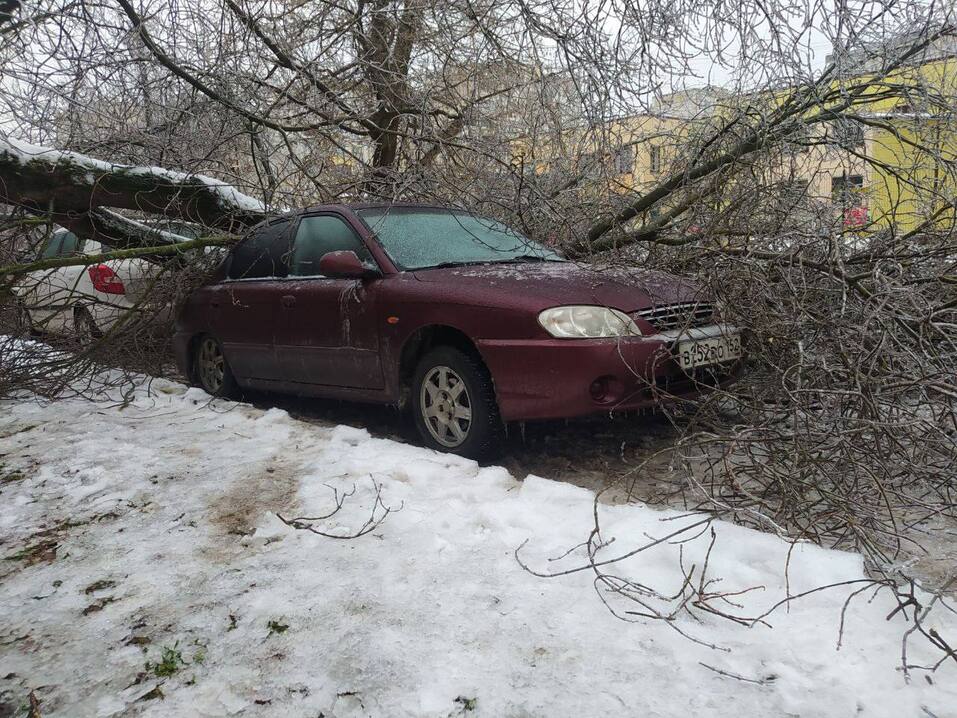 Фото: t.me/nizhny01 Фото: t.me/nizhny01