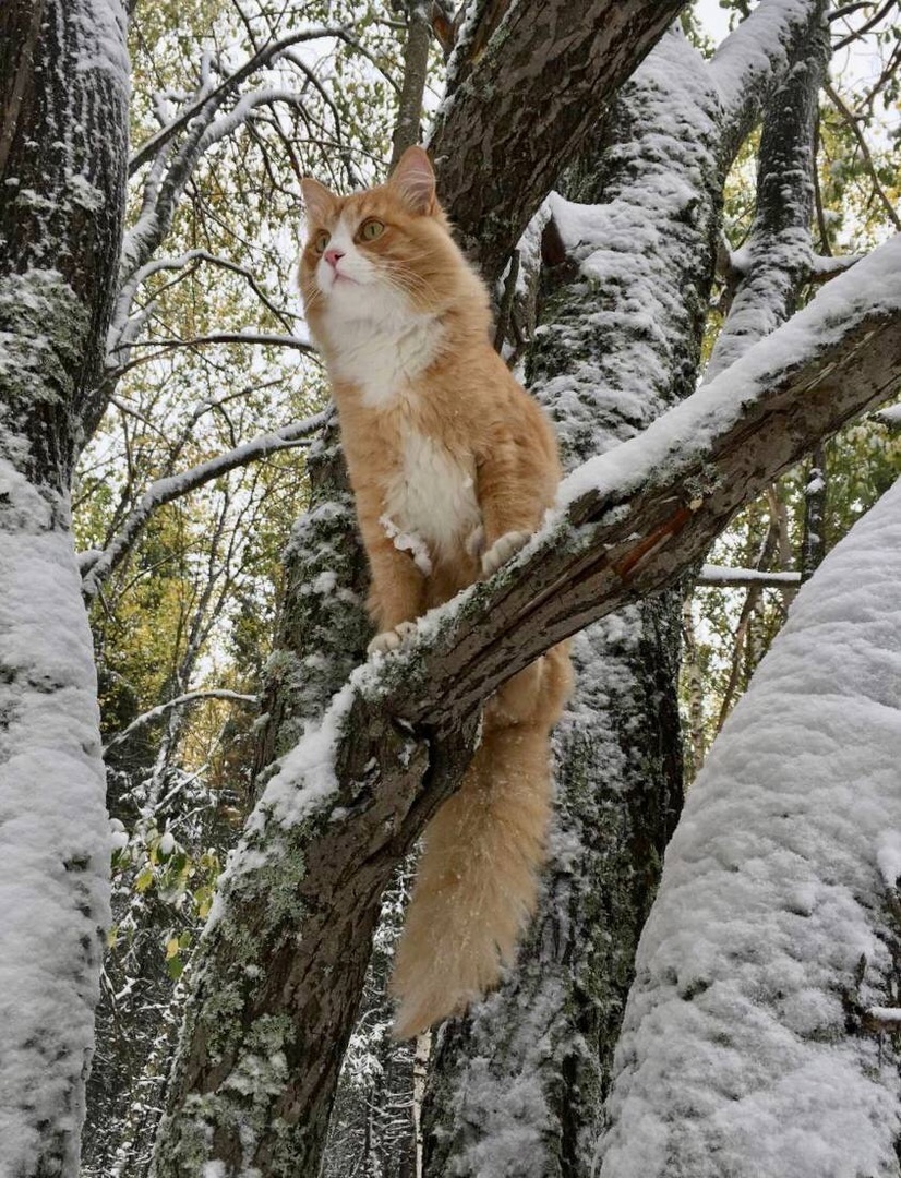 «Люди с палатками денег нам не принесут». Как туристские тропы на Урале выросли до КРТ 5 «Люди с палатками денег нам не принесут». Как туристские тропы на Урале выросли до КРТ 5