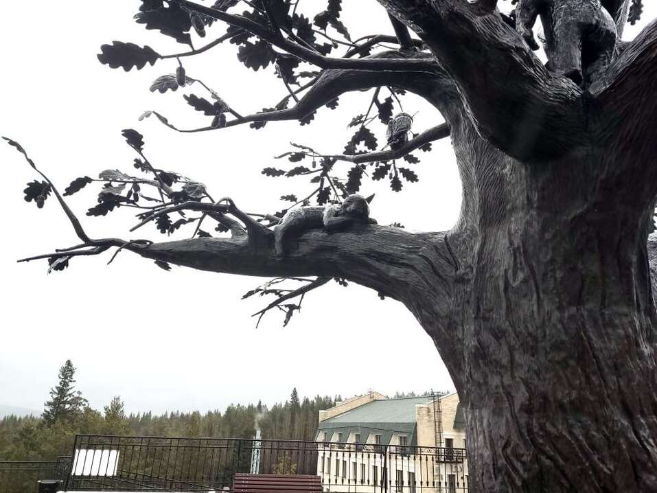 Златоуст: город клинков, мастеров и высокогорных трамваев. Почему вам сюда нужно 11 Златоуст: город клинков, мастеров и высокогорных трамваев. Почему вам сюда нужно 11