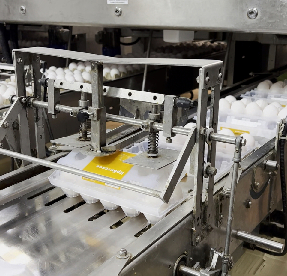 «Если сеть продает десяток яиц за 30 руб. — значит птицефабрика работает в убыток» 3 «Если сеть продает десяток яиц за 30 руб. — значит птицефабрика работает в убыток» 3