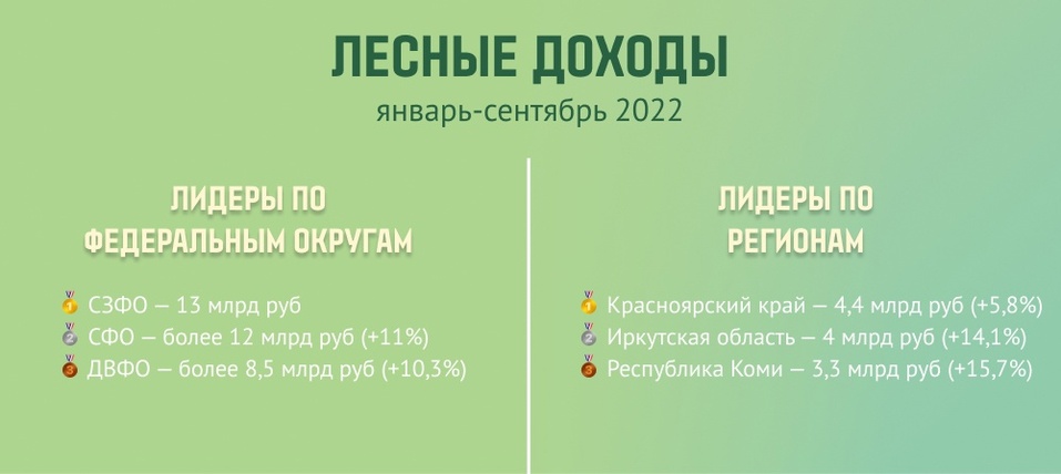 Красноярский край стал чемпионом по лесным доходам бюджета
1 Красноярский край стал чемпионом по лесным доходам бюджета
1