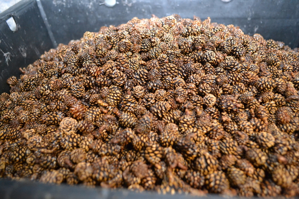 «Если дело угодно Богу, люди найдутся». История бренда «Косьминский гостинец» 4 «Если дело угодно Богу, люди найдутся». История бренда «Косьминский гостинец» 4