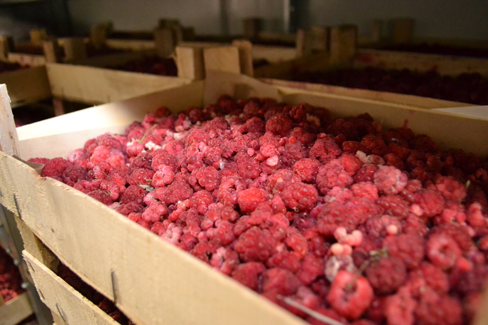 «Если дело угодно Богу, люди найдутся». История бренда «Косьминский гостинец» 5 «Если дело угодно Богу, люди найдутся». История бренда «Косьминский гостинец» 5