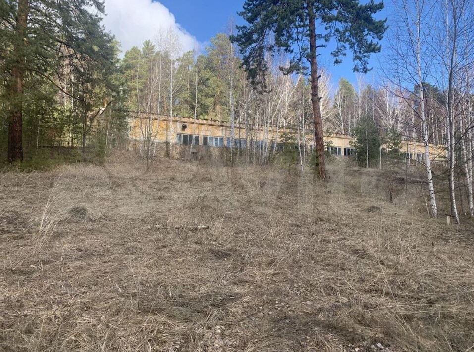 На озере Увильды продают под застройку заброшенный пионерлагерь 2 На озере Увильды продают под застройку заброшенный пионерлагерь 2