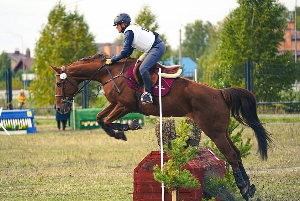 Наталья Алистратова: «Наша цель — сделать ''Рифей'' большим многофункциональным объектом» 7 Наталья Алистратова: «Наша цель — сделать ''Рифей'' большим многофункциональным объектом» 7
