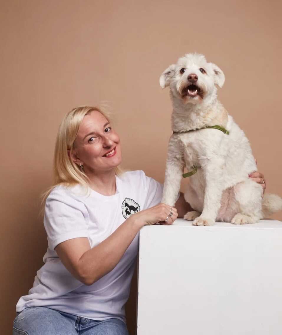 «Деньги пилят, собак убивают». Как «черные» приюты и «разводчики» зарабатывают на животных 1 «Деньги пилят, собак убивают». Как «черные» приюты и «разводчики» зарабатывают на животных 1