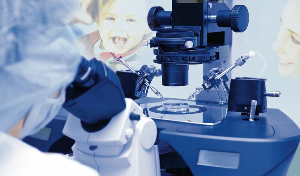 Обыкновенное чудо: как генетика в ЭКО помогает достичь эффективности 67% 3 Обыкновенное чудо: как генетика в ЭКО помогает достичь эффективности 67% 3