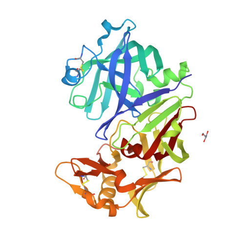 Ученые намерены создать в Новосибирске идеальный фермент для импортозамещения в сыроделии 1 Ученые намерены создать в Новосибирске идеальный фермент для импортозамещения в сыроделии 1