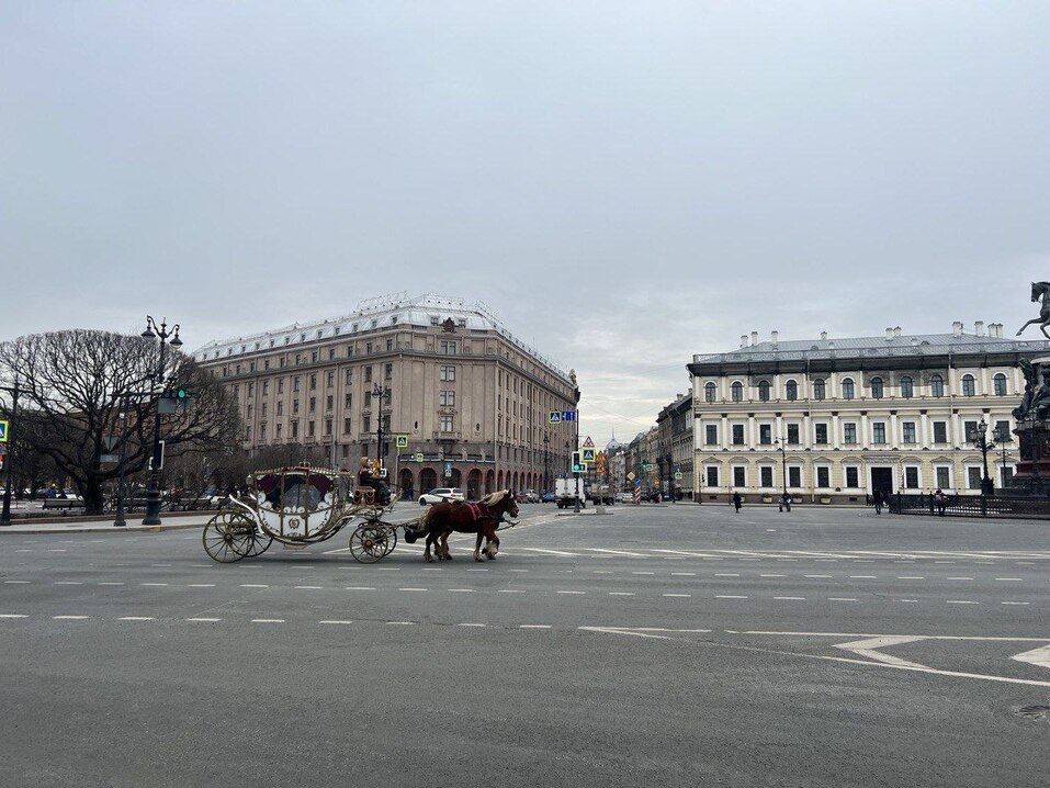 Фото: t.me/glebnikitin_nn Фото: t.me/glebnikitin_nn