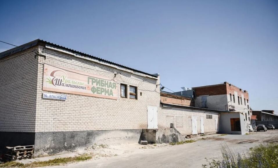 В Челябинской области продают крупную грибную ферму 1 В Челябинской области продают крупную грибную ферму 1