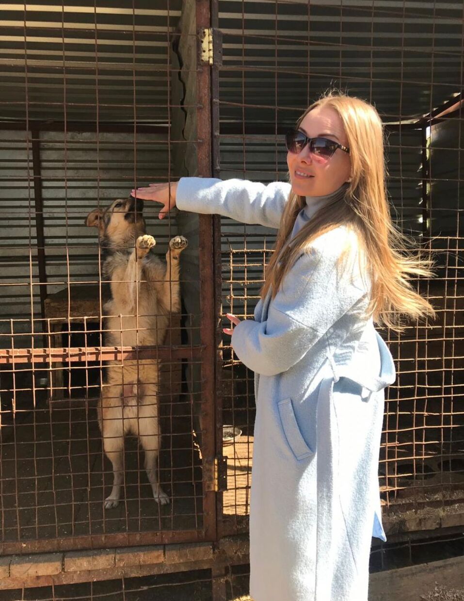 «Забота о животных точно не бизнес»: предприниматели Красноярска о питомцах и зоозащите
1 «Забота о животных точно не бизнес»: предприниматели Красноярска о питомцах и зоозащите
1